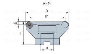AFM