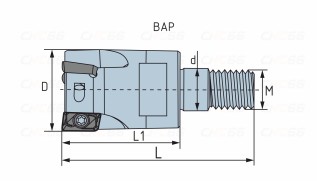 BAP
