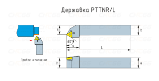 PTTNR/PTTNL