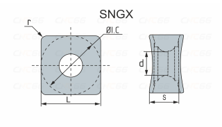 SNGX