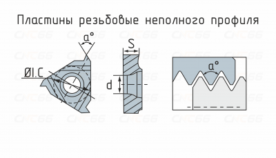 RT22.01W-N55P-YBG201 Пластина резьбовая RT22.01W-N55P-YBG201 Пластина резьбовая