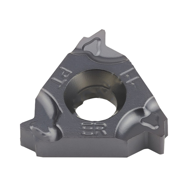 16ER11BSPT-WS5125 Пластина резьбовая