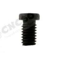 DSP0612 Винт подкладной пластины (для СN12, SN12, RN12, DN15, WN08) DSP0612 Винт подкладной пластины (для СN12, SN12, RN12, DN15, WN08)