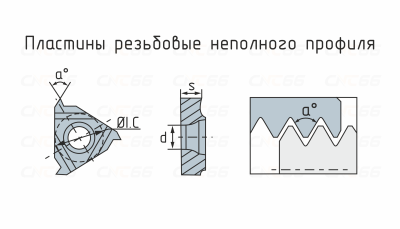 RT22.01W-N60P-YBG201 Пластина резьбовая