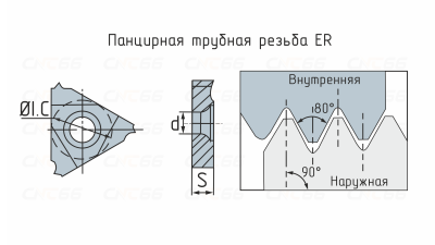 16ER-18Pg-DM215 Пластина резьбовая