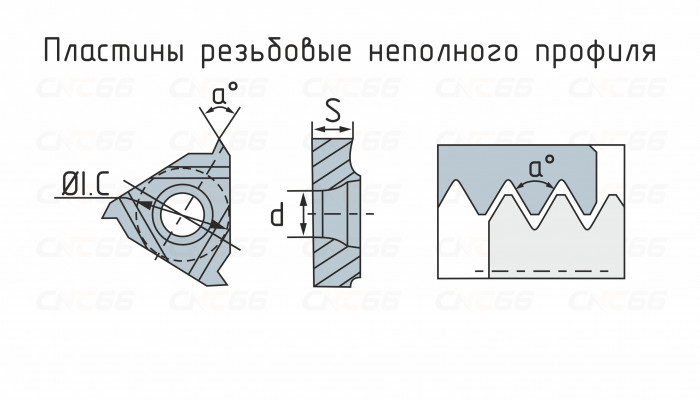 16IRAG60-ZP10 Пластина резьбовая