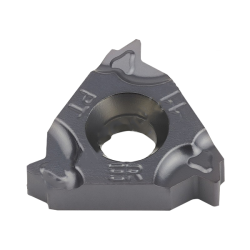 16ER14BSPT-WS5125 Пластина резьбовая